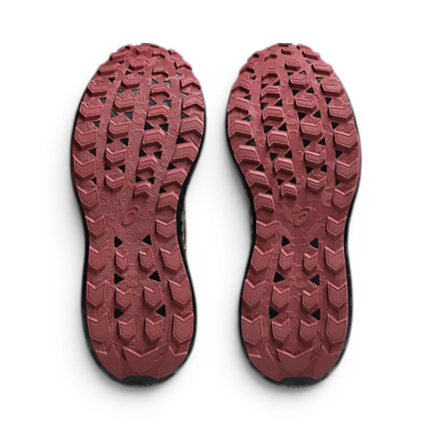 Souliers course Asics pour hommes - GEL SONOMA 8 GTX