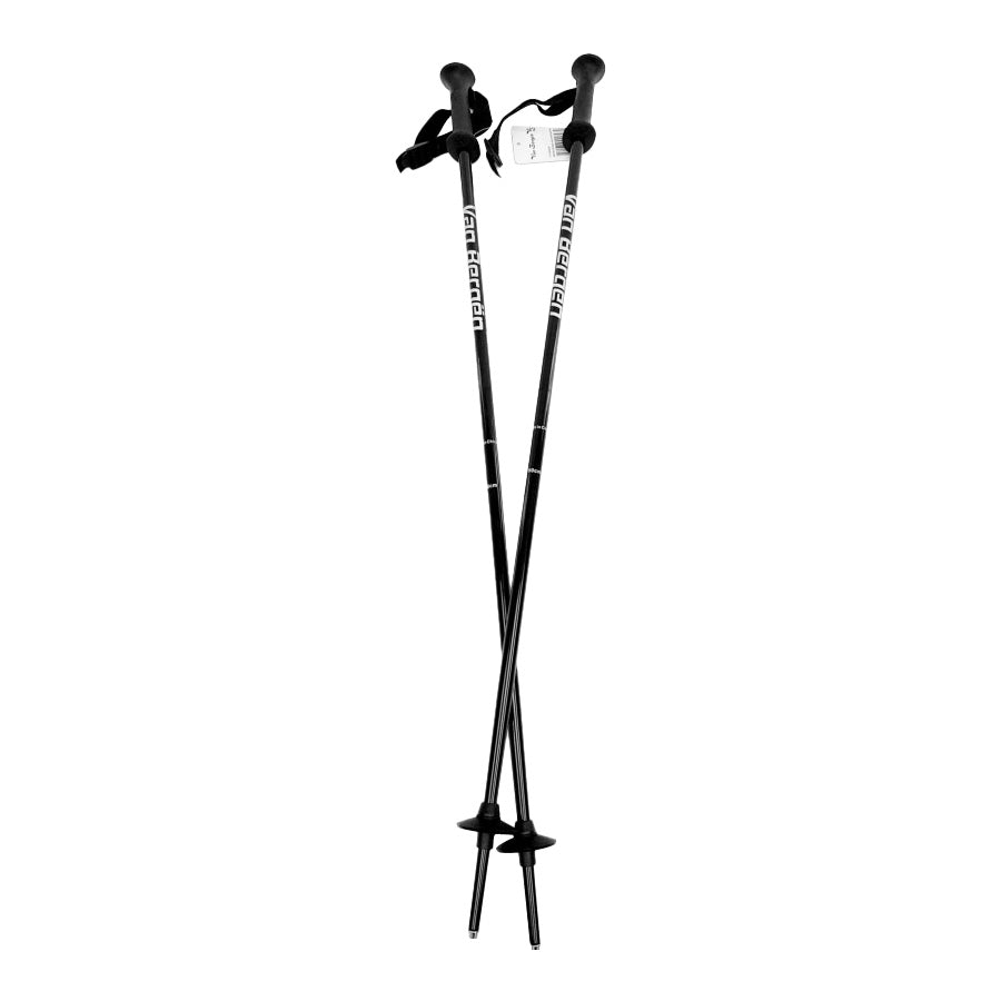 Van Bergen alpine ski pole for children (Junior) - BERIO