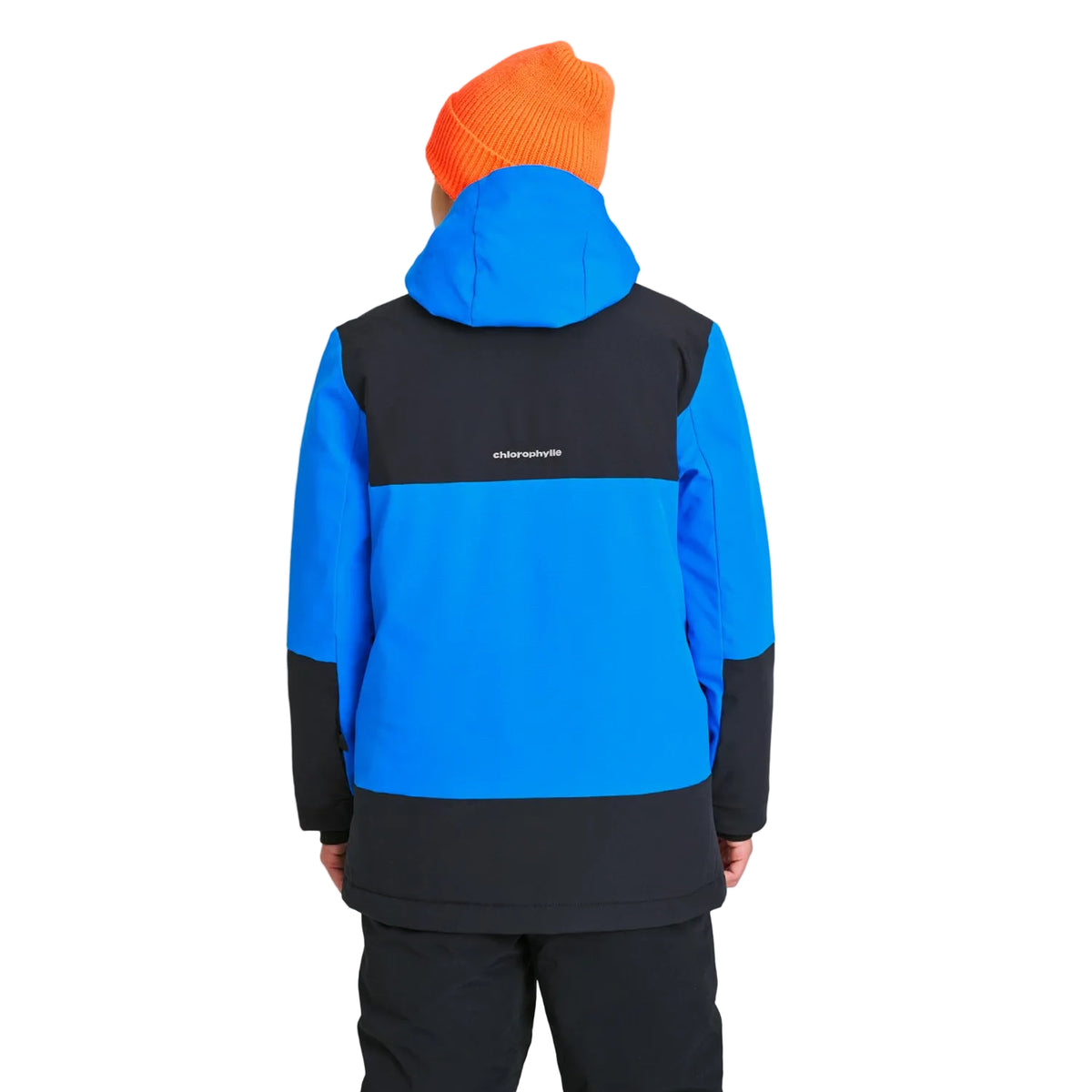 Manteau d'hiver Chlorophylle NORDIC pour garçons, bleu royal, porté, vue de dos