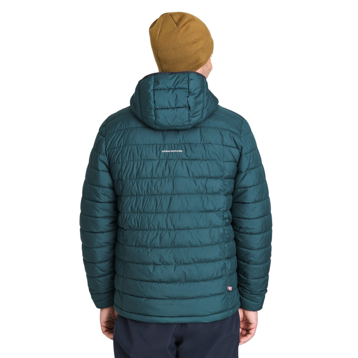Manteau Chlorophylle hommes - LYTTON