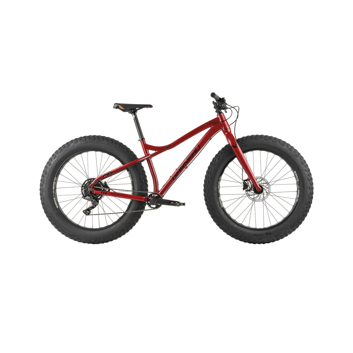 Louis Garneau FatBike for adults - BIG LOUIS 3