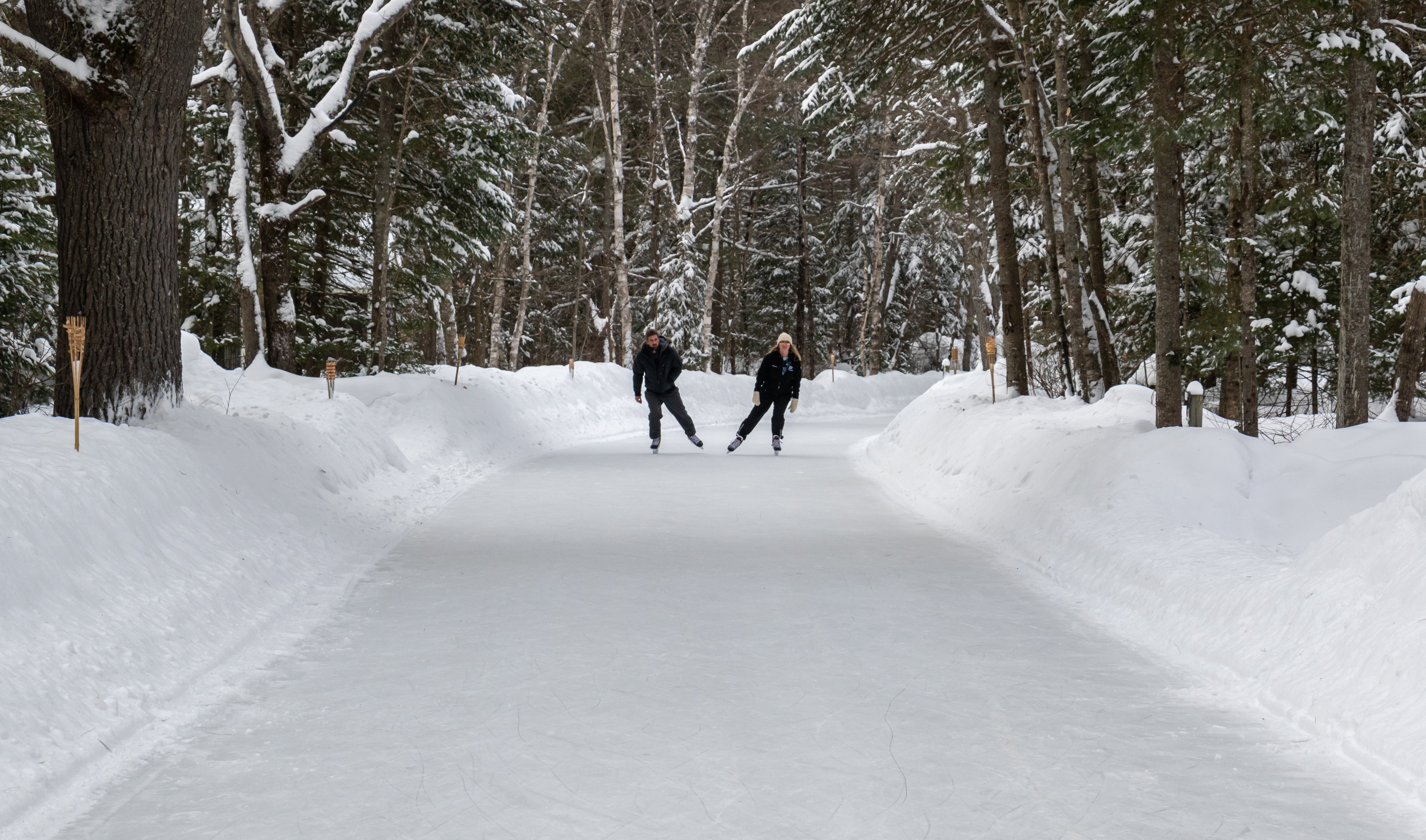 Découvrez les meilleurs sentiers de patins en forêt au Québec | Guide et Conseils