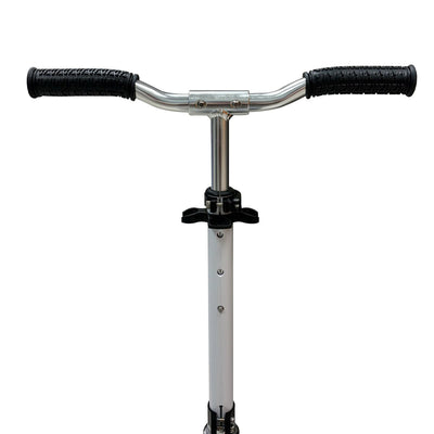 PRO SNOW SCOOTER - Scooter for professionals - Berio