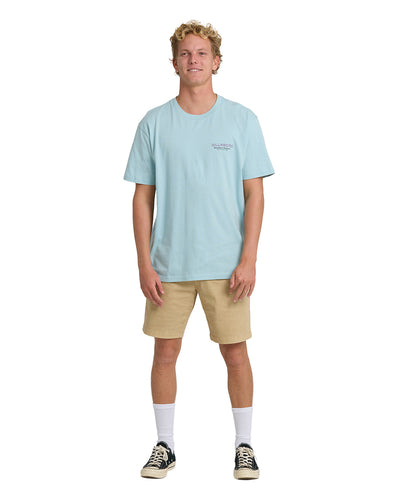 T-shirt Billabong Hommes - TAILGATING PREMIUM