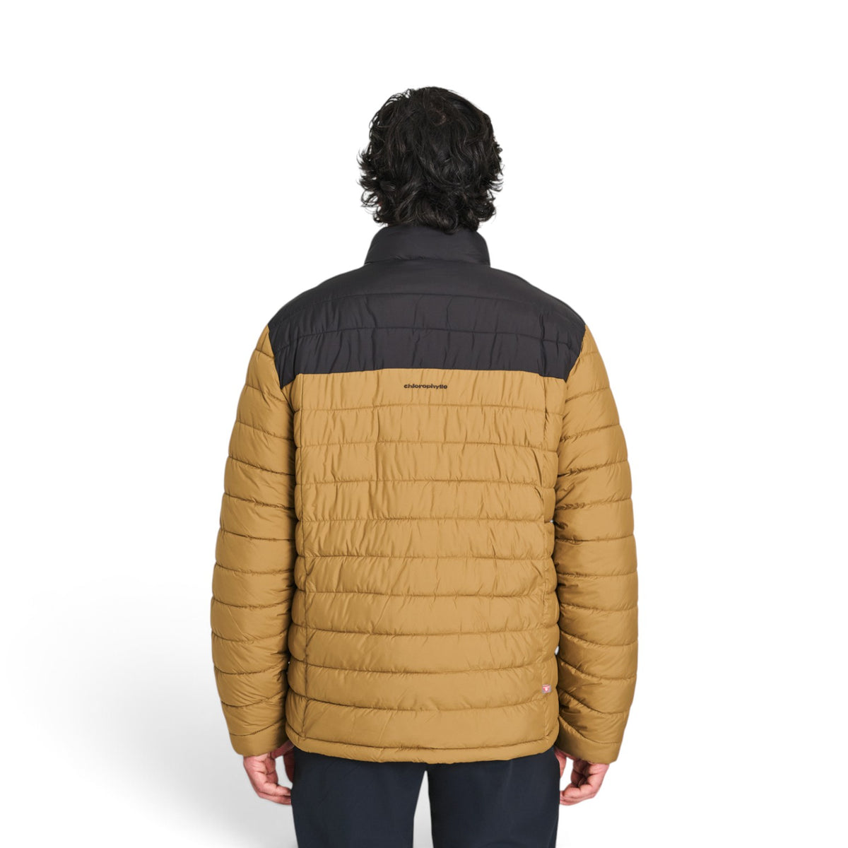 Veste isolée mi-saison Chlorophylle pour hommes - LYTTON SANS CAPUCHON
