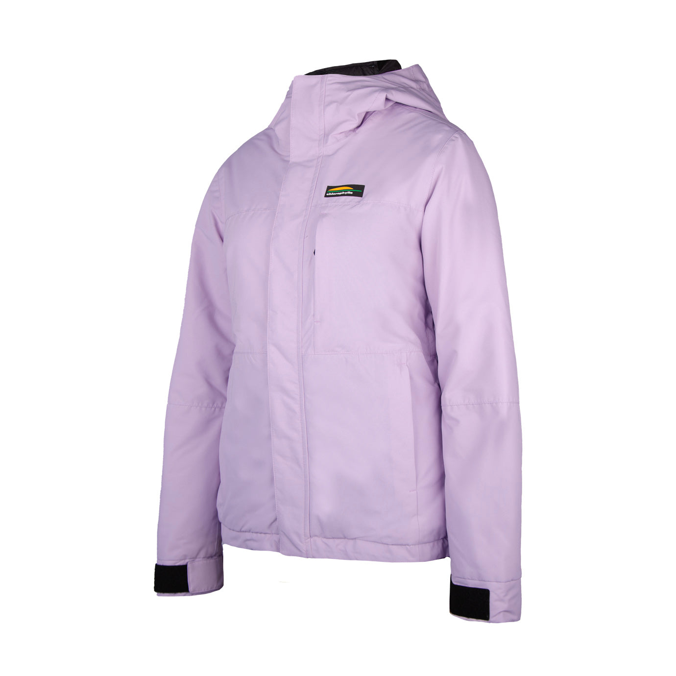 EDELWEISS JACKET - Manteau de ski pour femmes - Chlorophylle