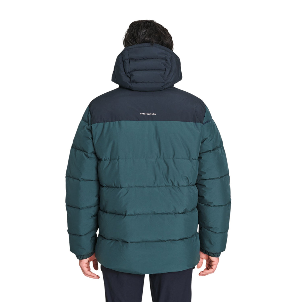 Manteau hiver Chlorophylle Hommes - MISTRAL