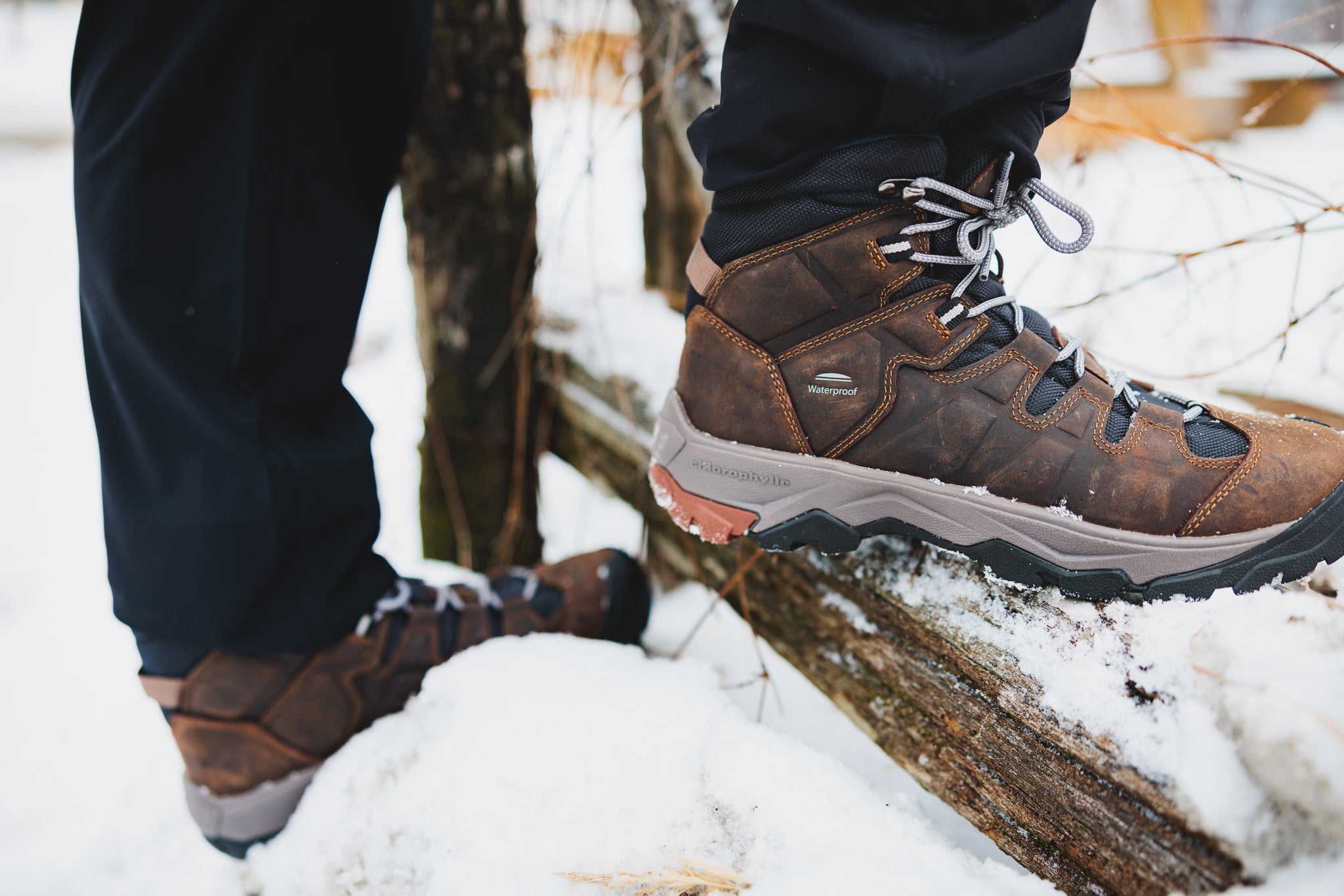 SITULA - Men's hiking boots - Chlorophyll