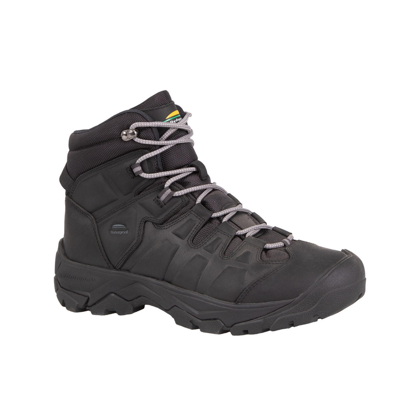 SITULA - Men's hiking boots - Chlorophyll