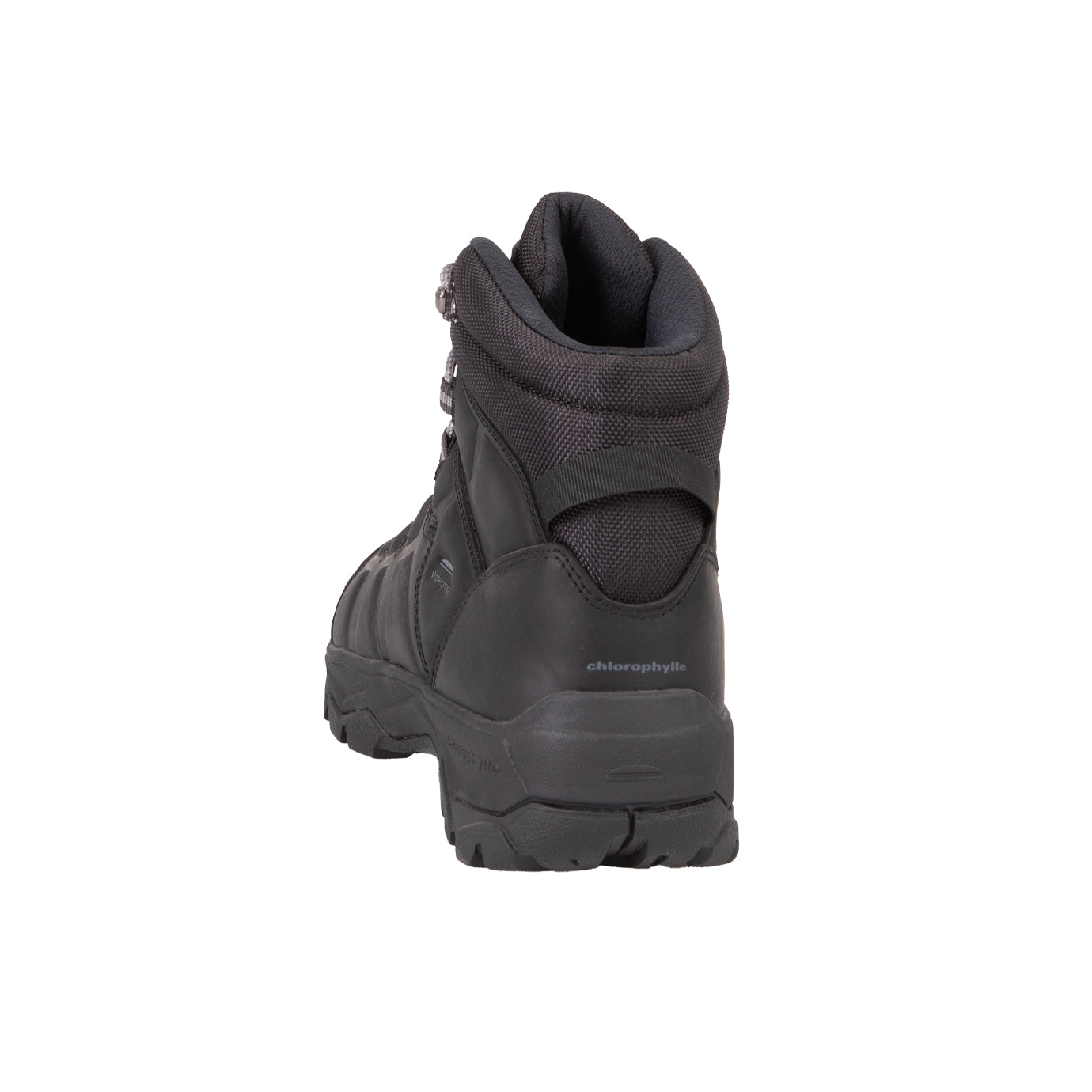 SITULA - Men's hiking boots - Chlorophyll