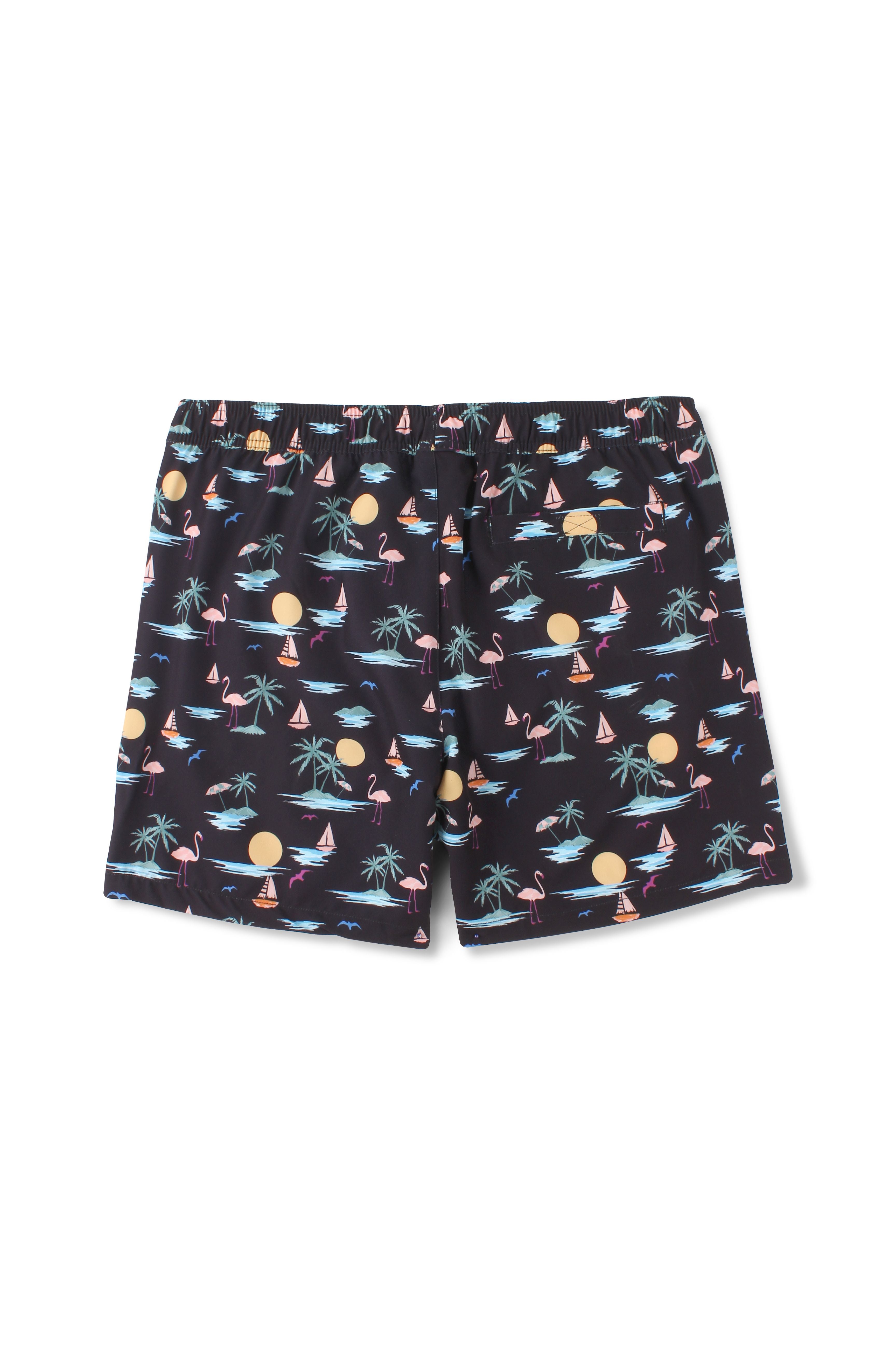 Maillot de plage NASRI Vacay Flamingo Volley 16" pour hommes