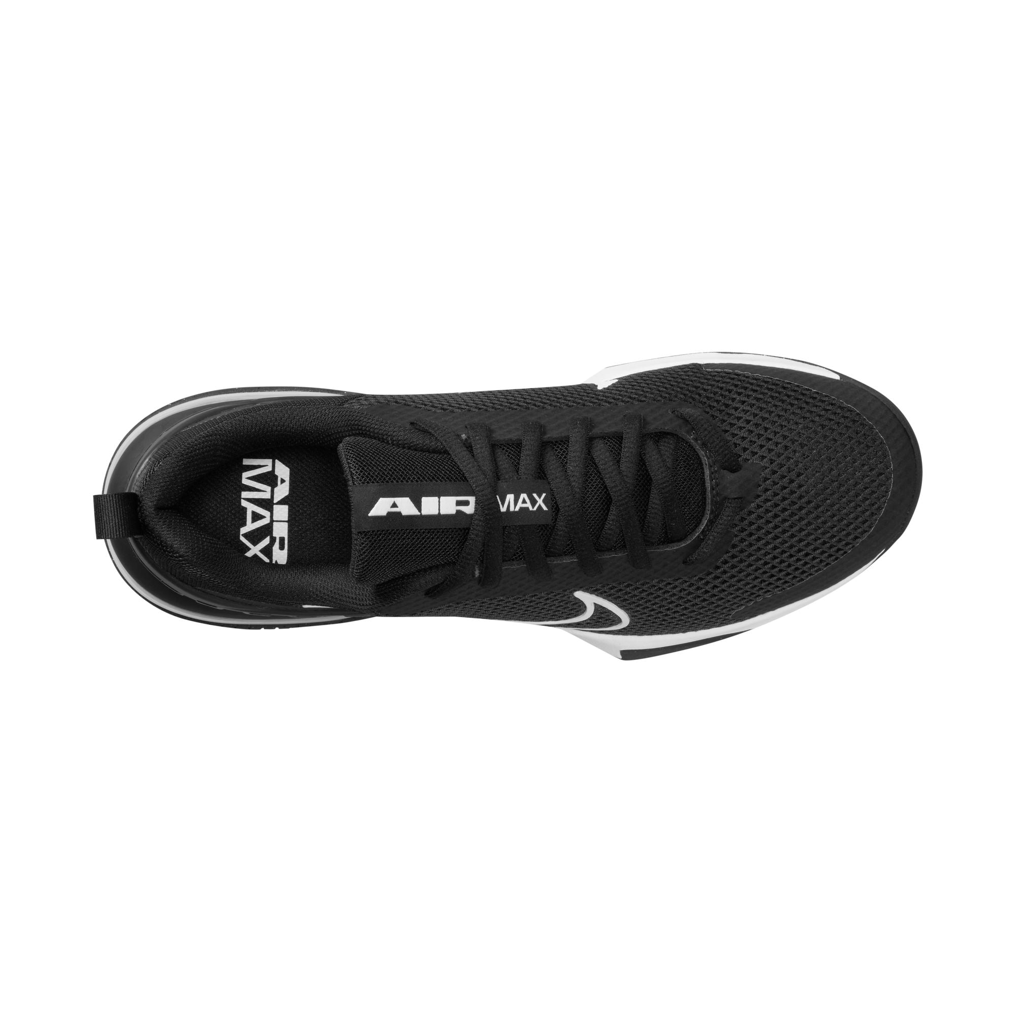 Souliers de sport pour hommes Nike - AIR MAX ALPHA TRAINER 6