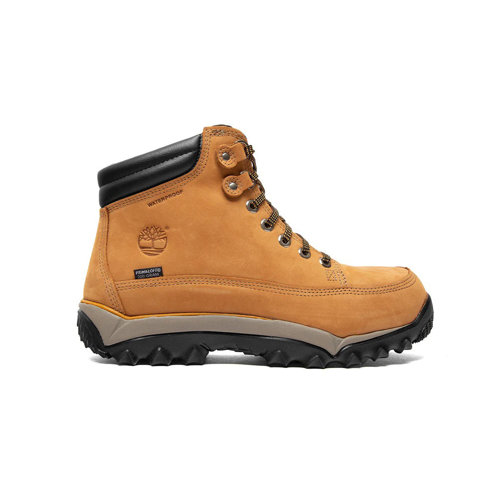 Chaussure timberland go sport on sale