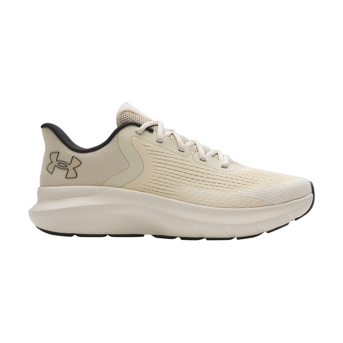 Men's sports shoes Under Armour - ROGUE 5