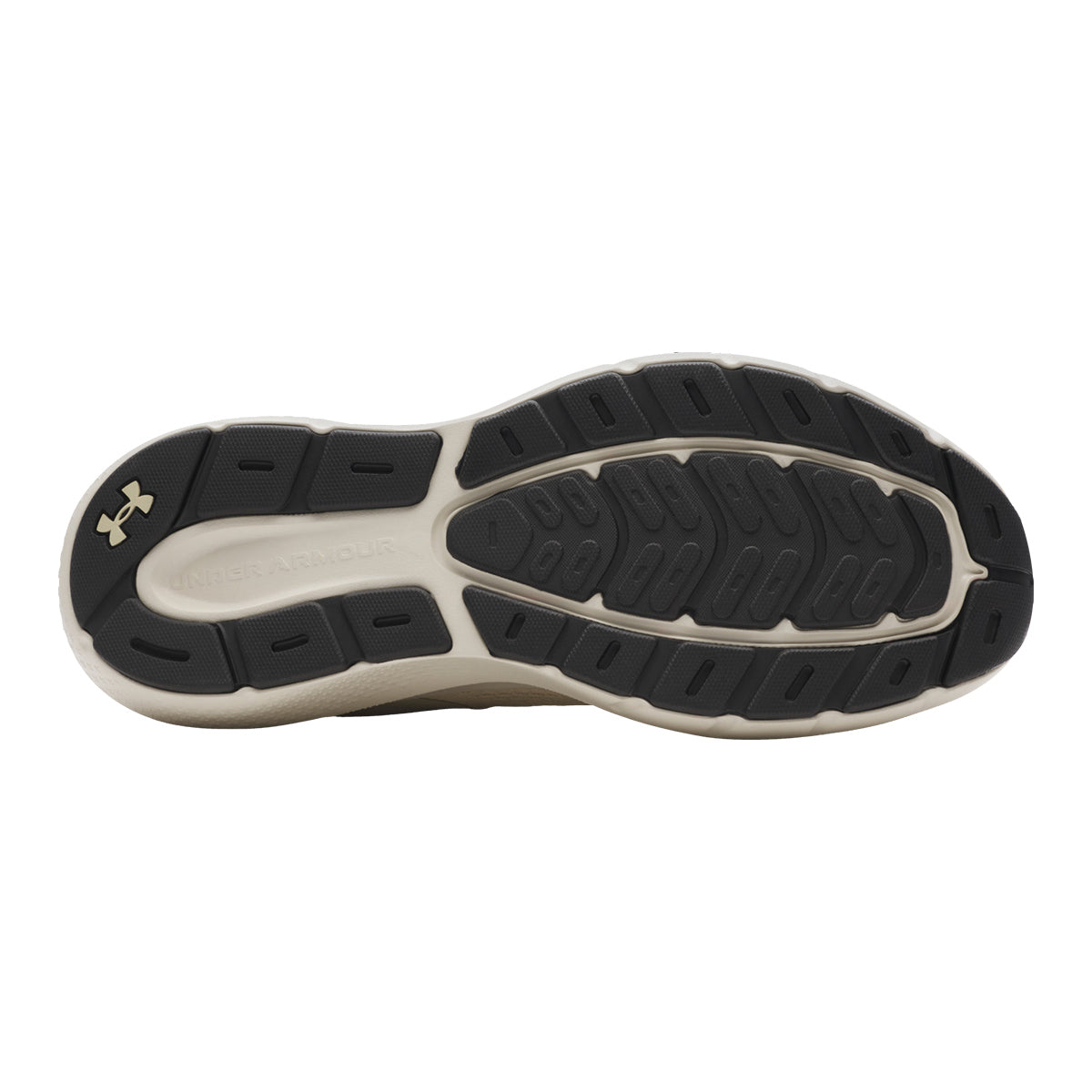 Men's sports shoes Under Armour - ROGUE 5